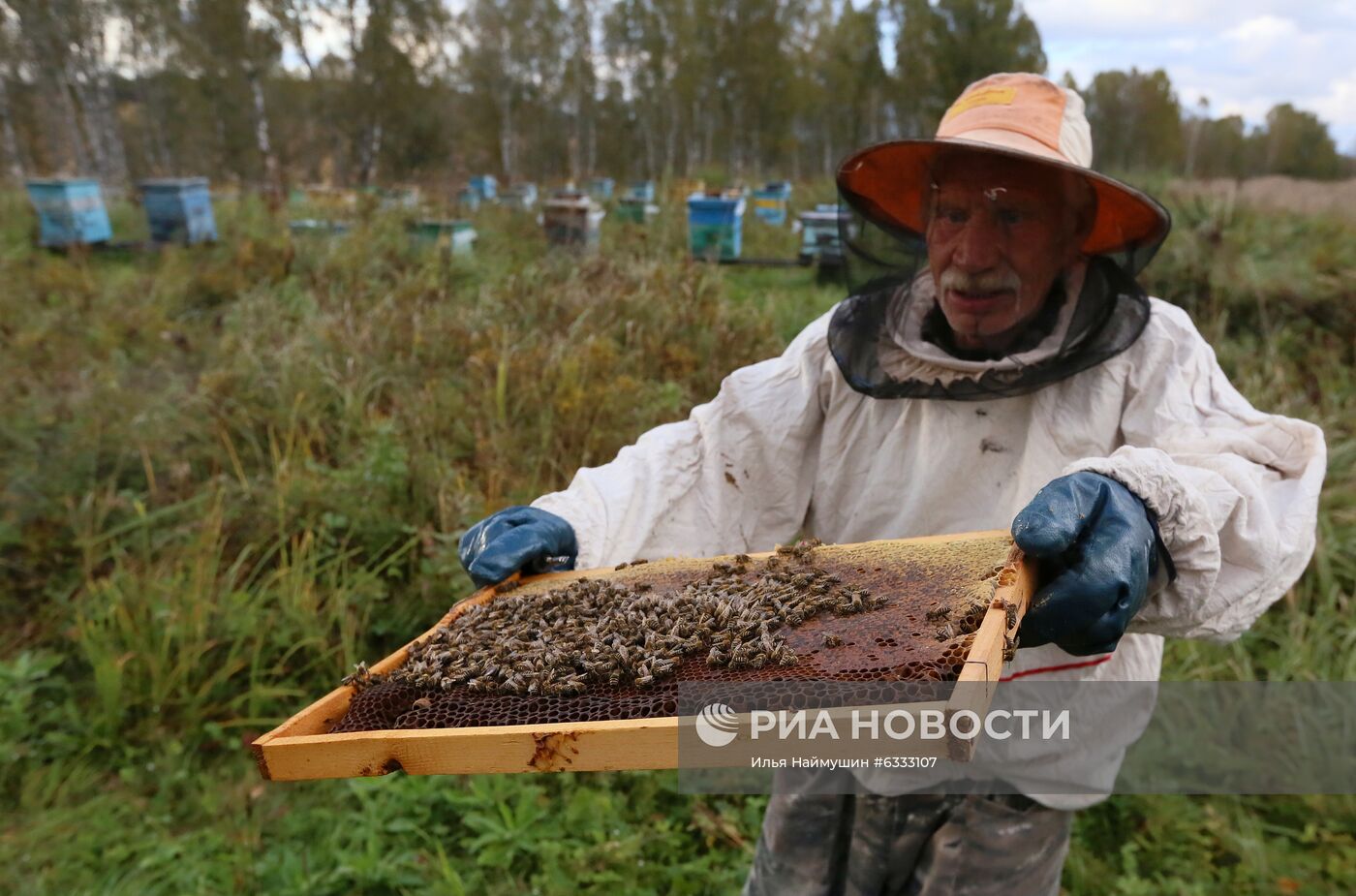 Пасека в Красноярском крае