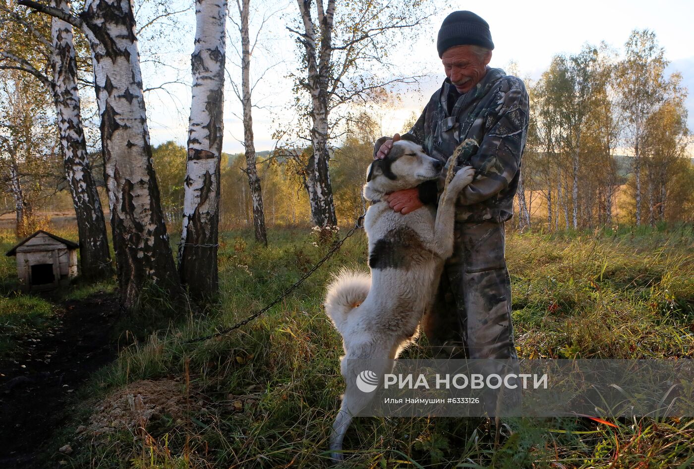 Пасека в Красноярском крае