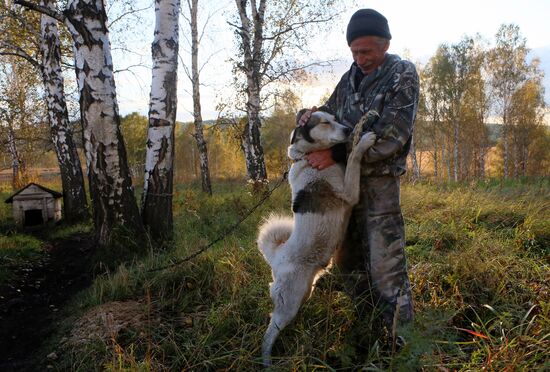 Пасека в Красноярском крае
