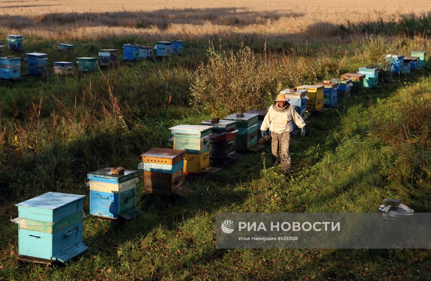 Пасека в Красноярском крае