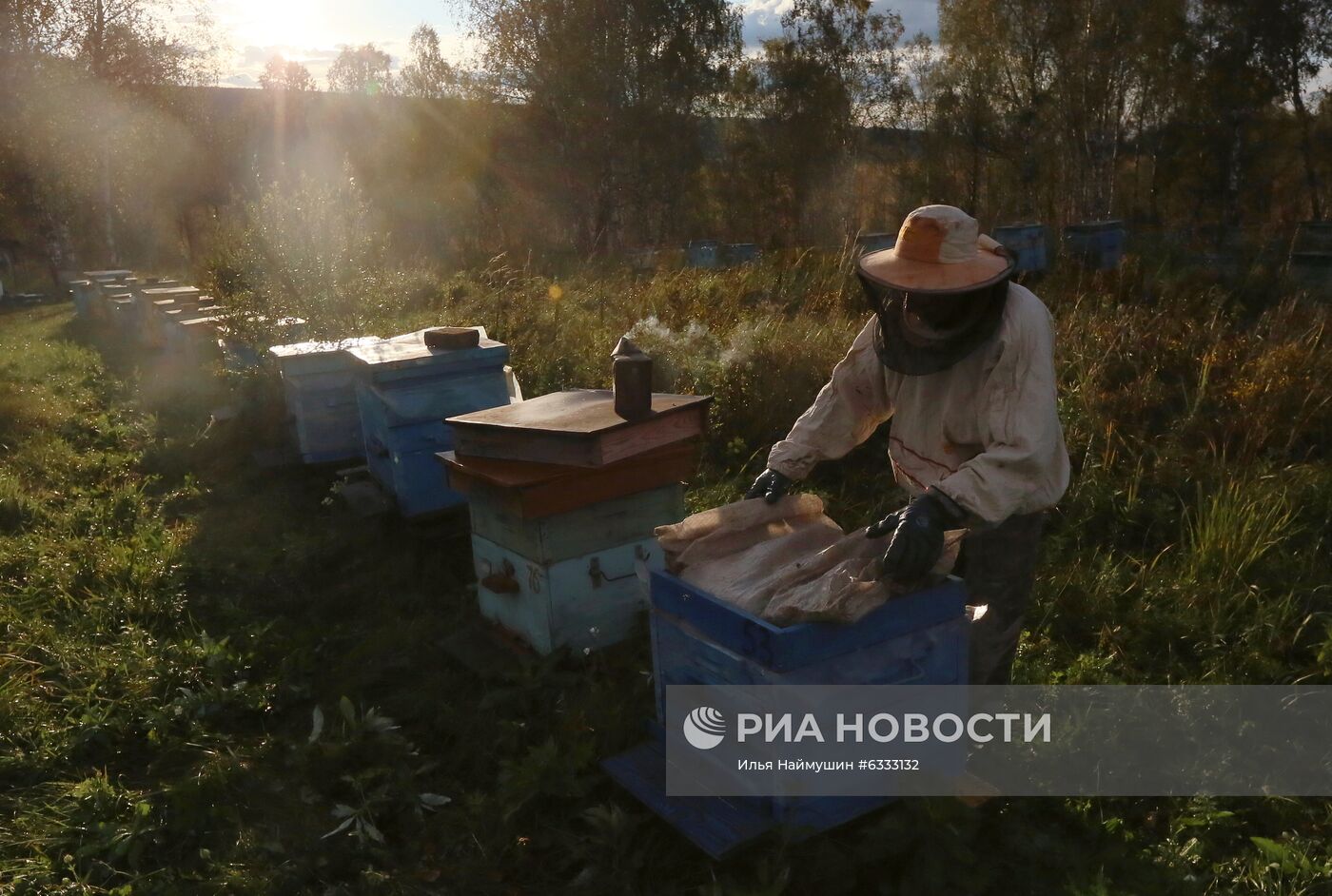 Пасека в Красноярском крае