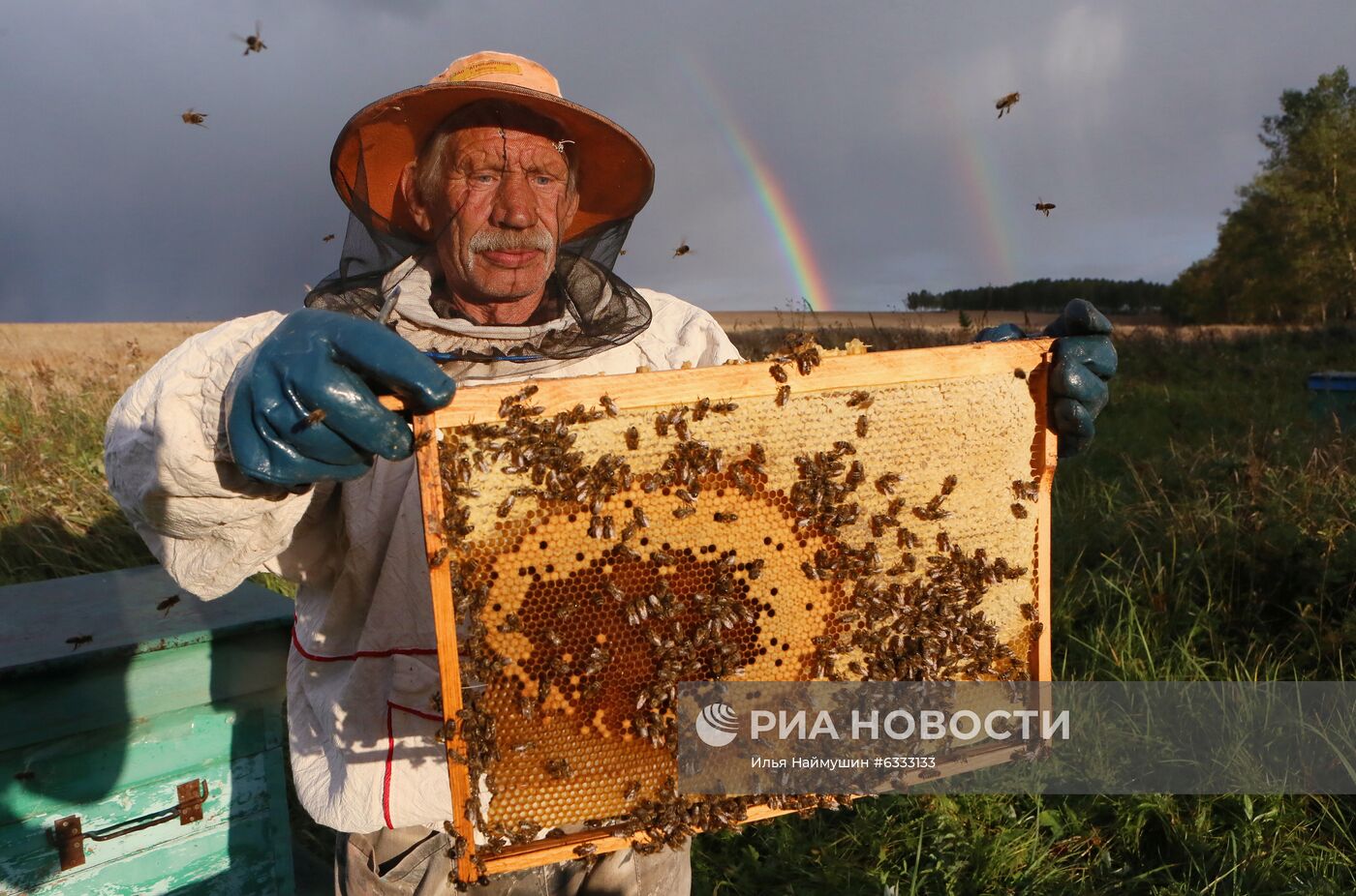 Пасека в Красноярском крае