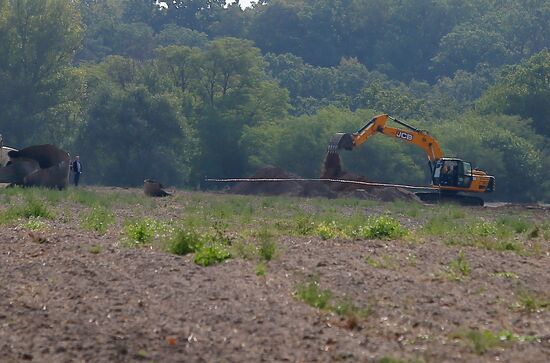 В Киевской области произошла разгерметизация газопровода "Уренгой-Помары-Ужгород"