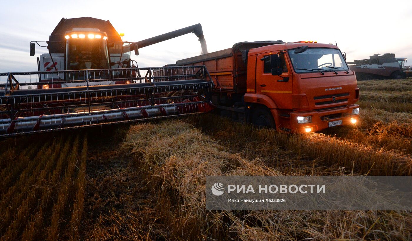 Уборка урожая зерновых в Красноярском крае