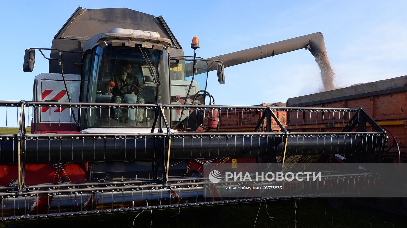 Уборка урожая зерновых в Красноярском крае