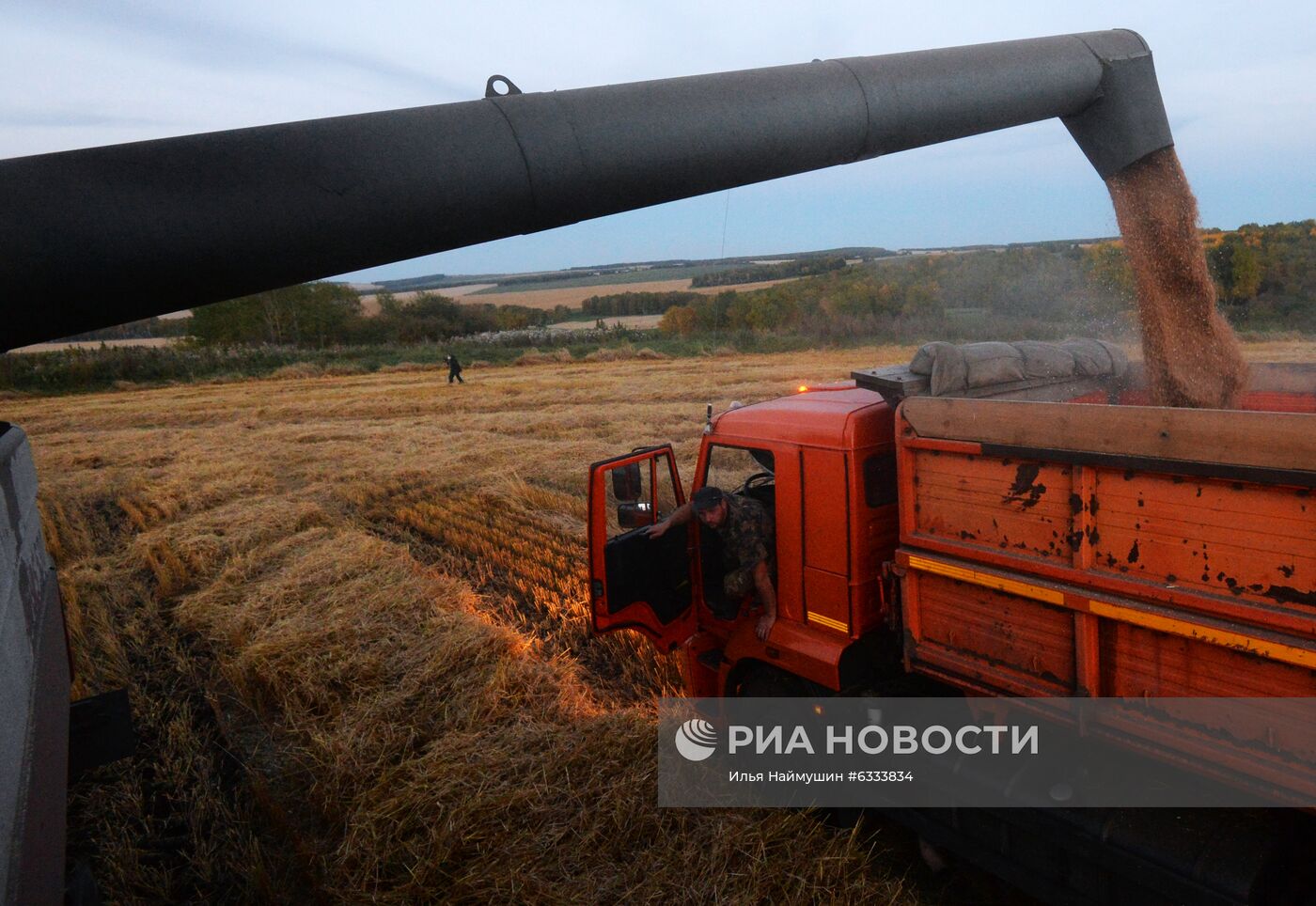 Уборка урожая зерновых в Красноярском крае