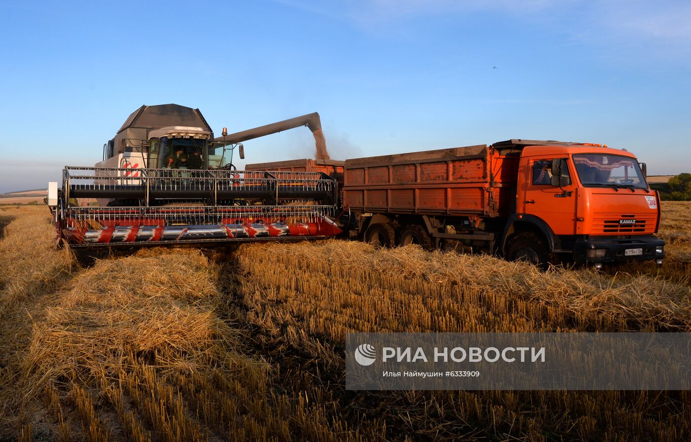 Уборка урожая зерновых в Красноярском крае