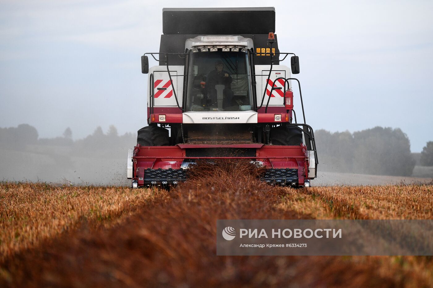 Фермерское хозяйство в Алтайском крае