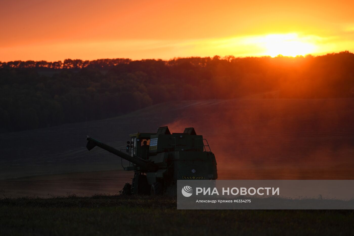 Фермерское хозяйство в Алтайском крае