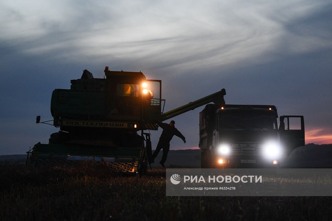 Фермерское хозяйство в Алтайском крае