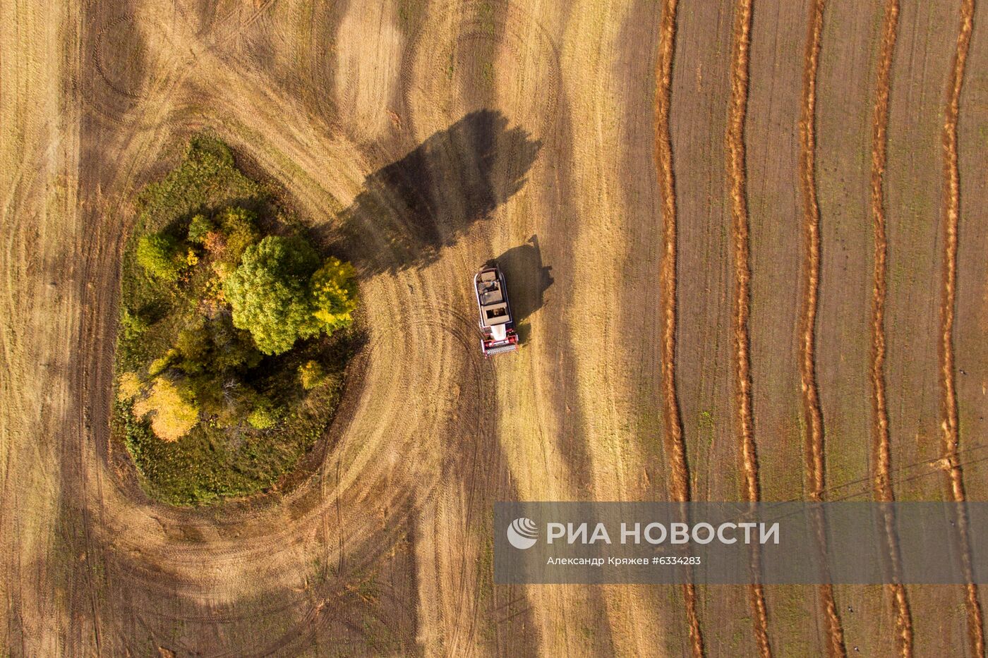 Фермерское хозяйство в Алтайском крае