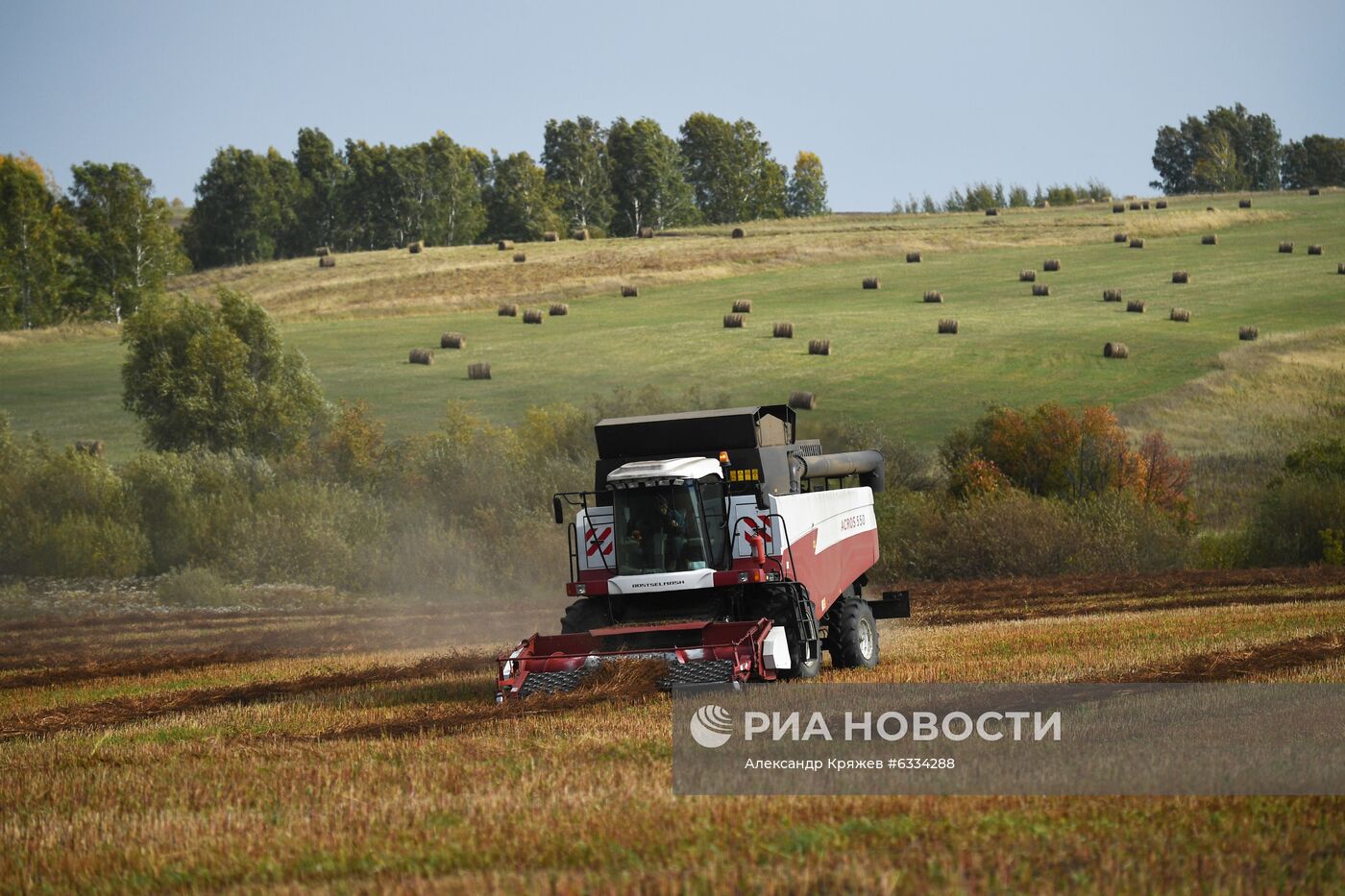 Фермерское хозяйство в Алтайском крае
