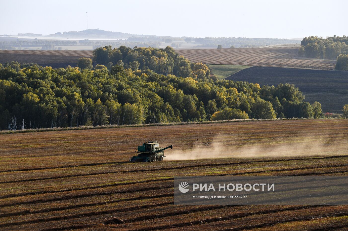 Фермерское хозяйство в Алтайском крае