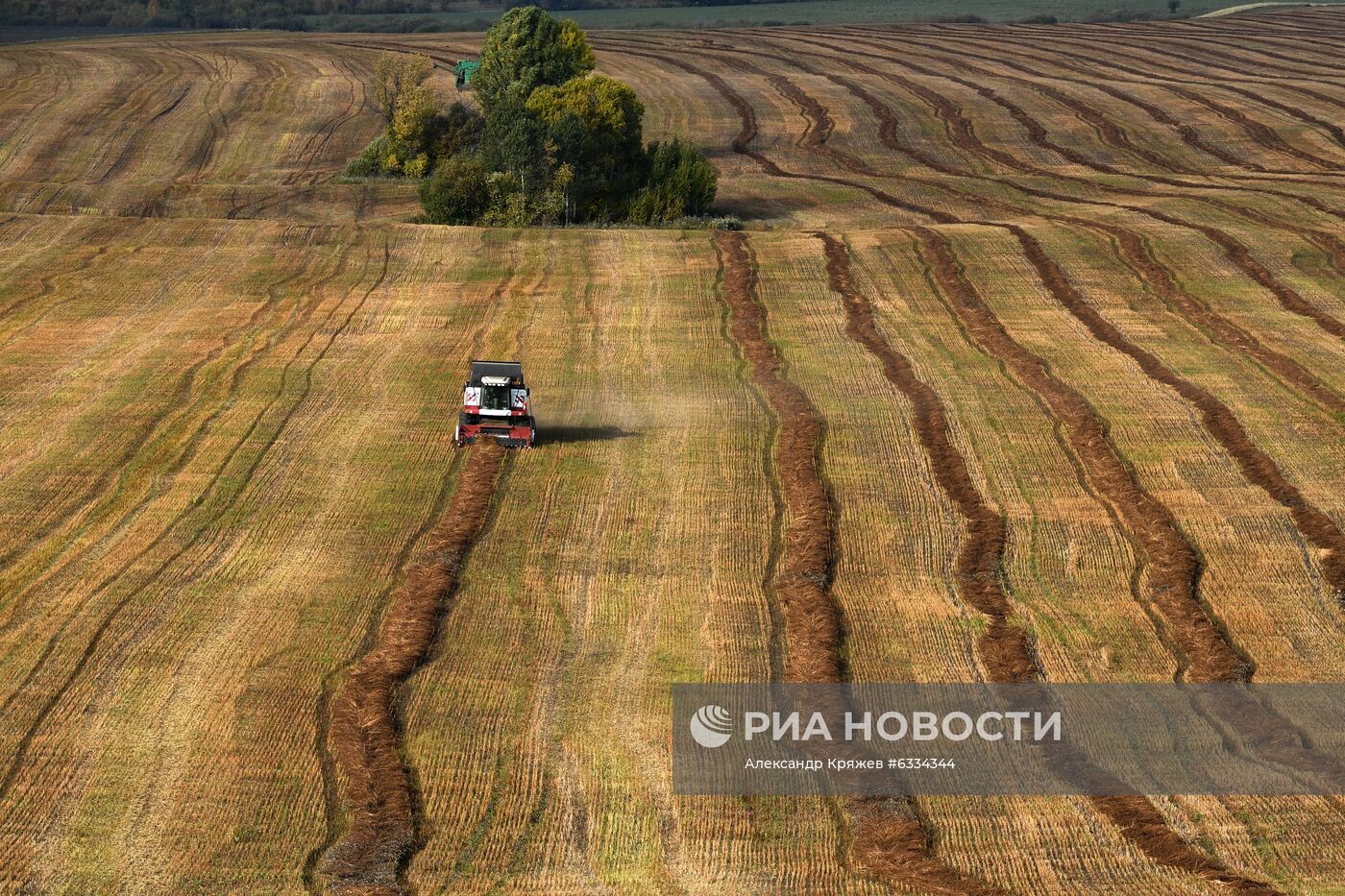 Фермерское хозяйство в Алтайском крае