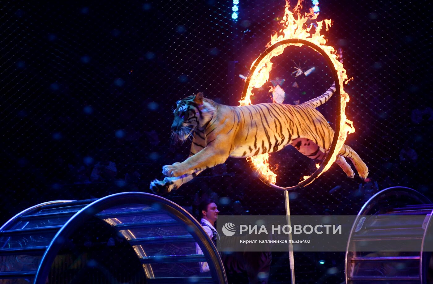 Большой московский цирк возобновляет работу
