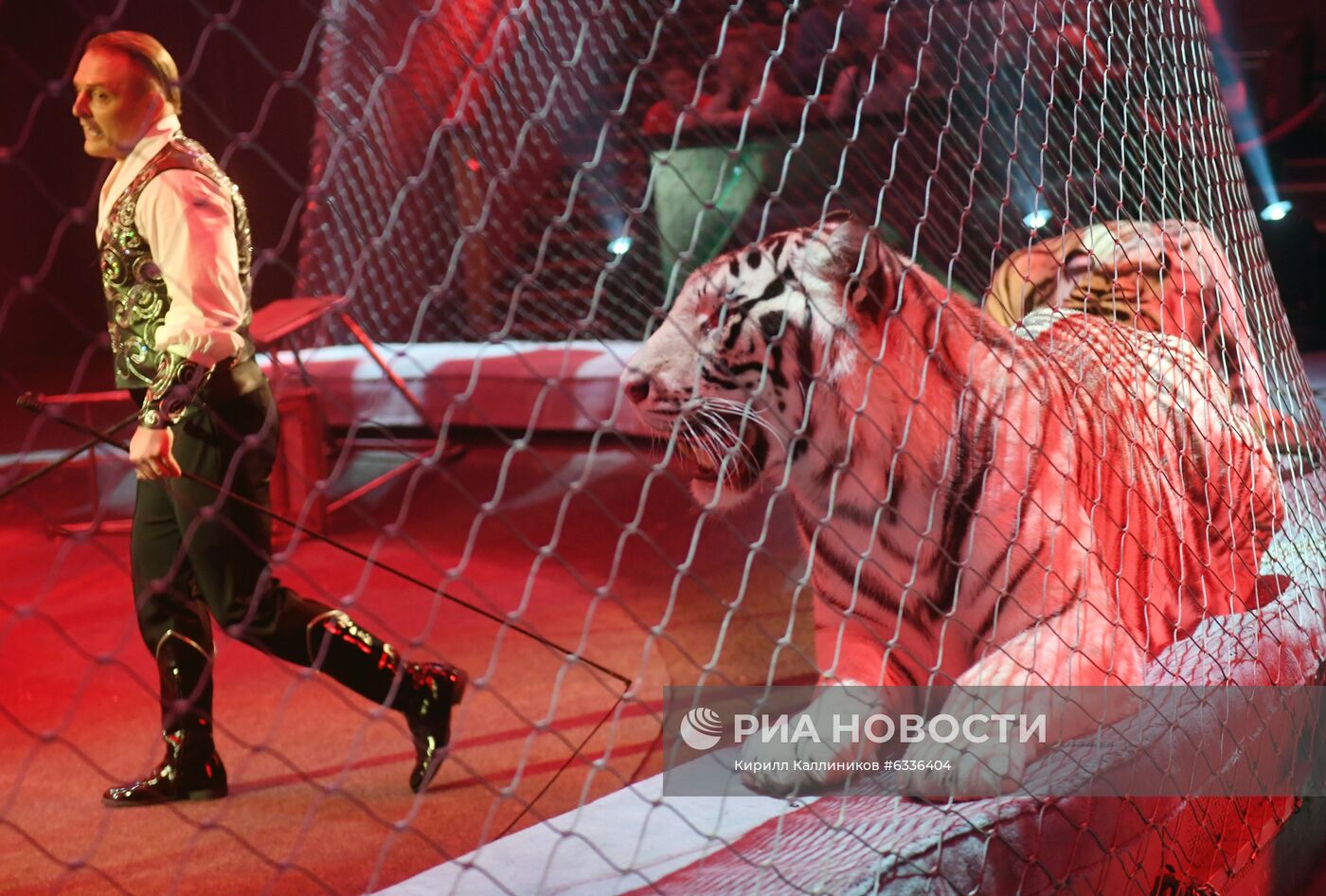 Большой московский цирк возобновляет работу