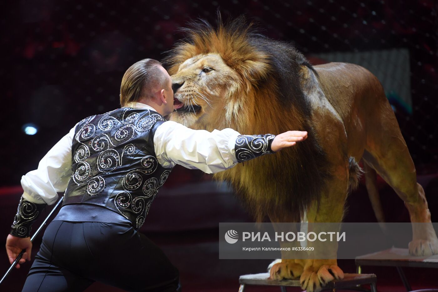Большой московский цирк возобновляет работу