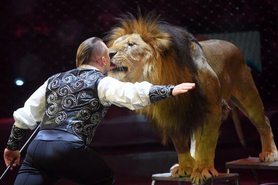 Большой московский цирк возобновляет работу