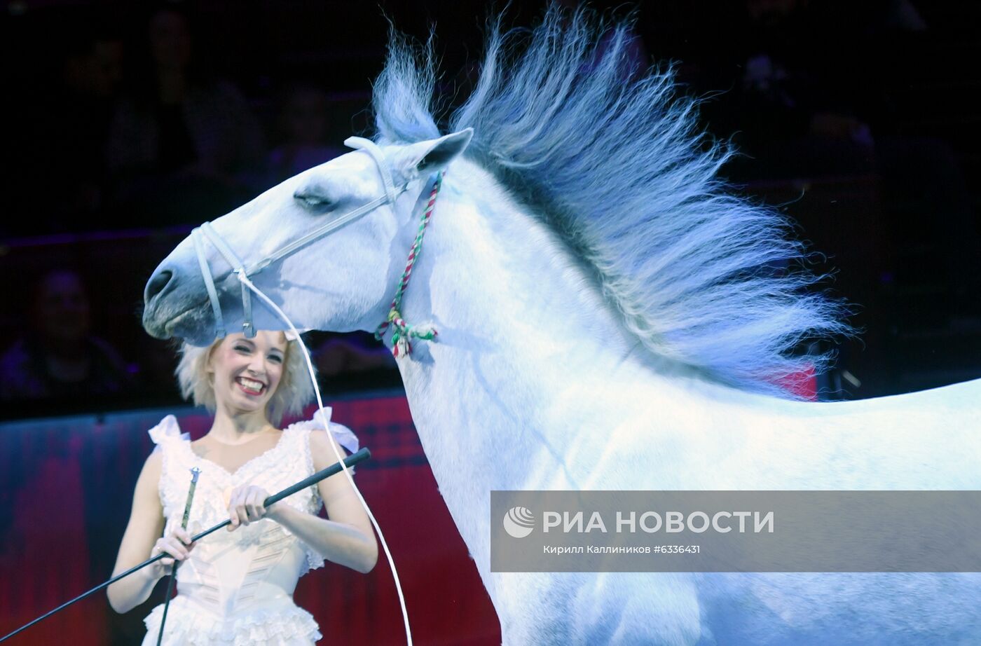 Большой московский цирк возобновляет работу