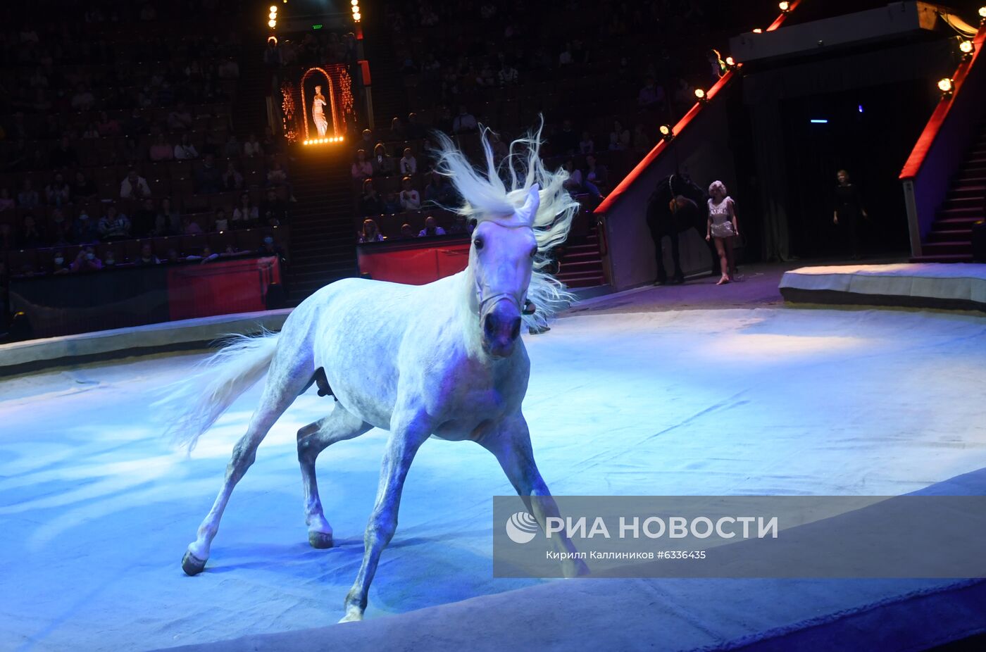 Большой московский цирк возобновляет работу