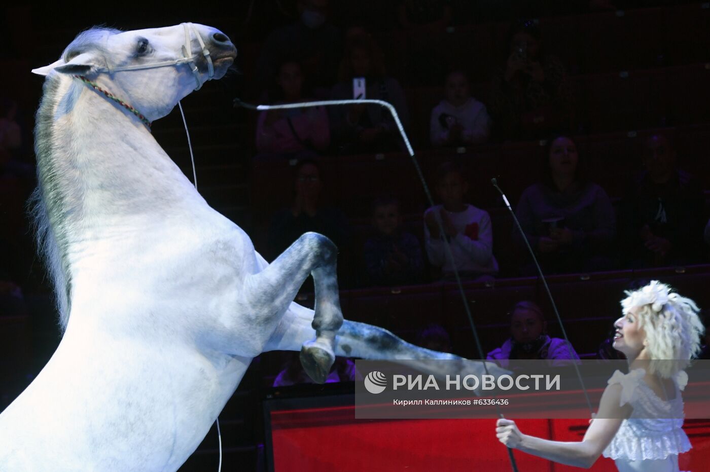 Большой московский цирк возобновляет работу