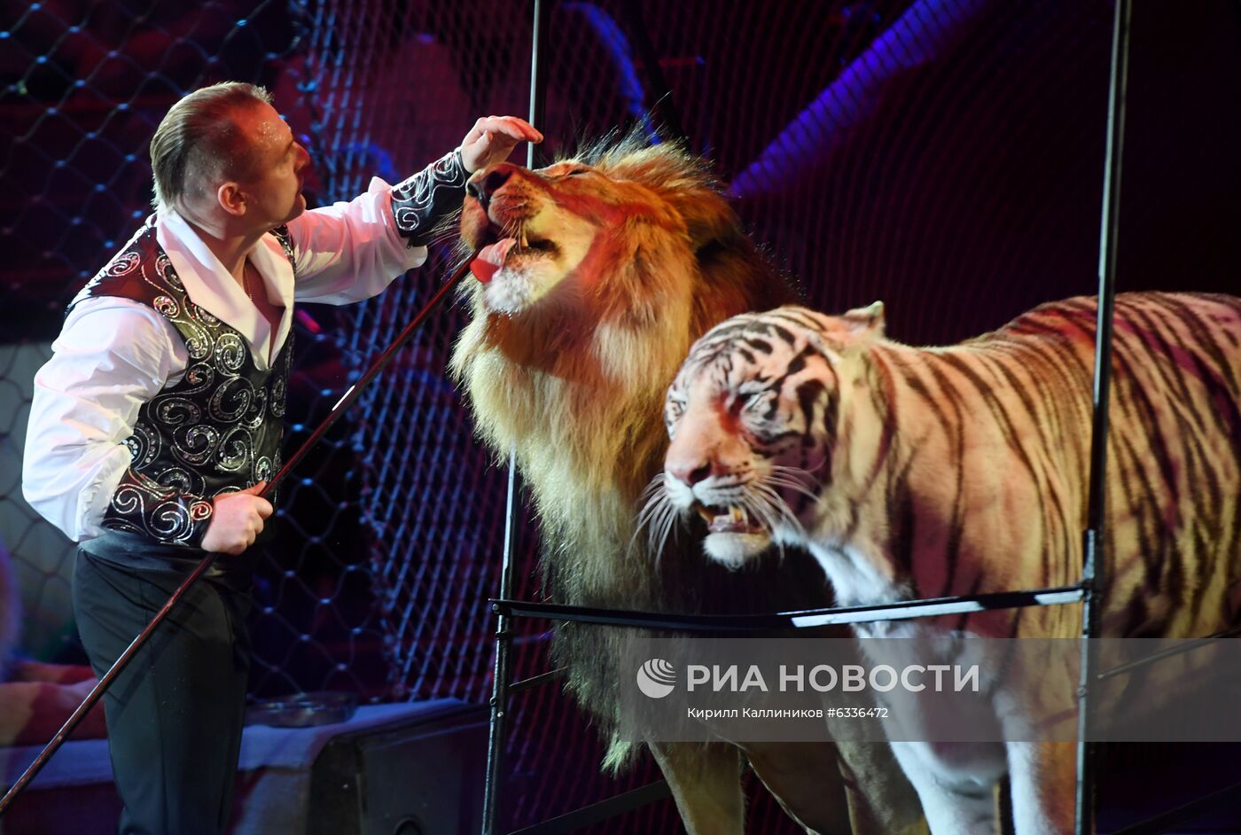 Большой московский цирк возобновляет работу