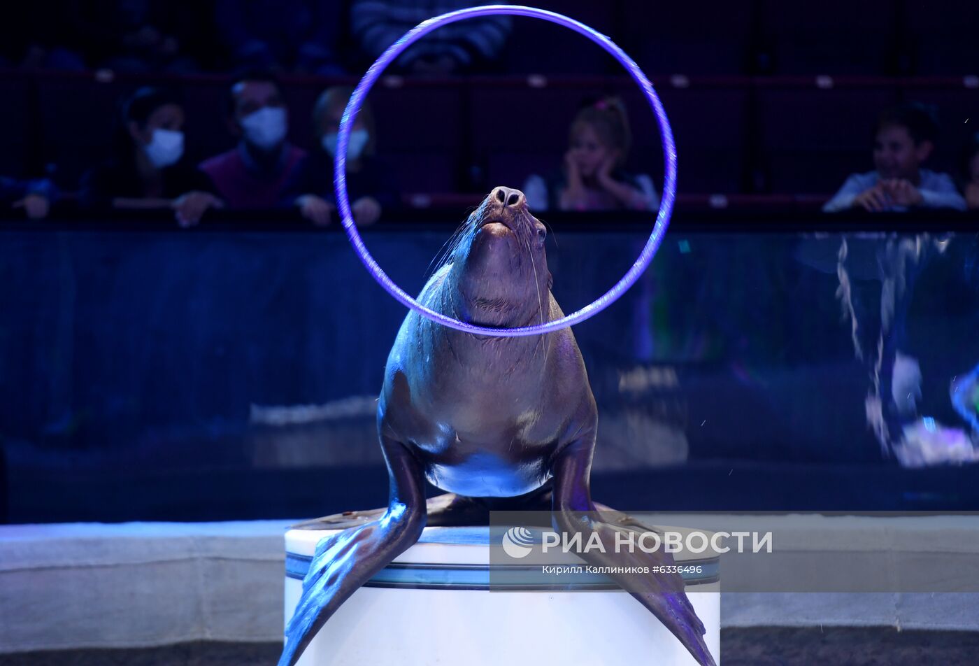Большой московский цирк возобновляет работу