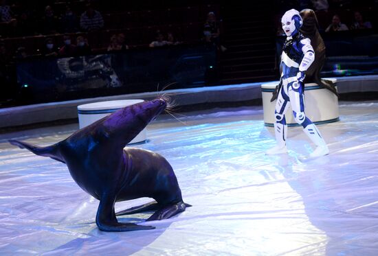 Большой московский цирк возобновляет работу