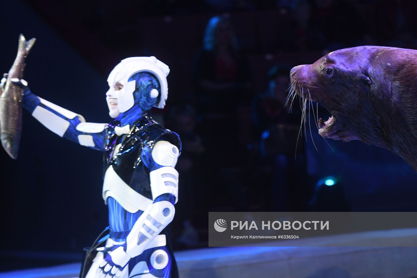 Большой московский цирк возобновляет работу