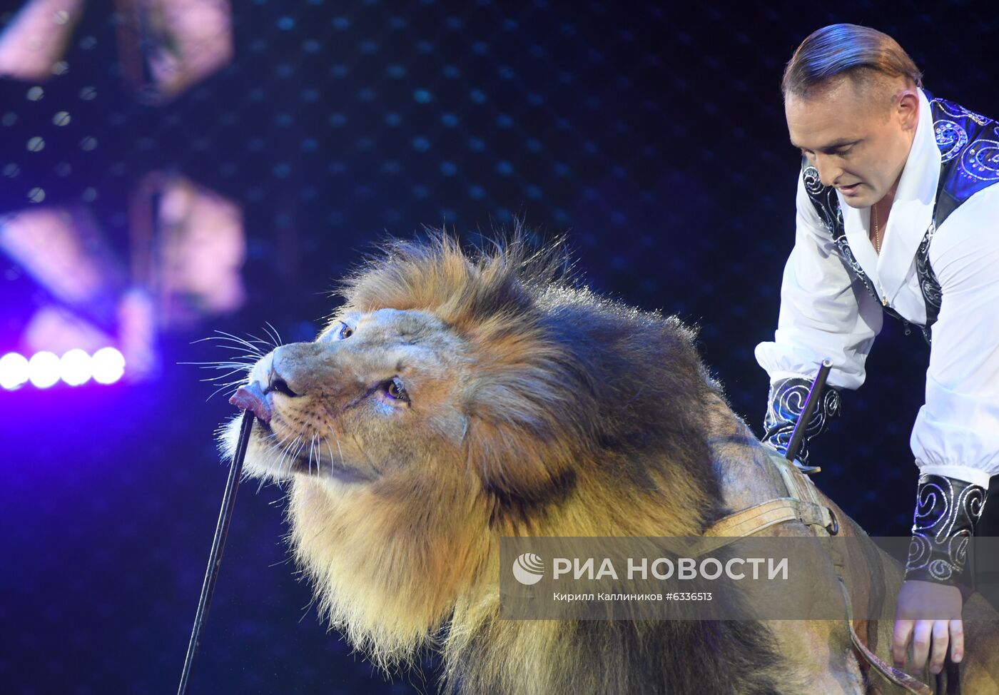 Большой московский цирк возобновляет работу