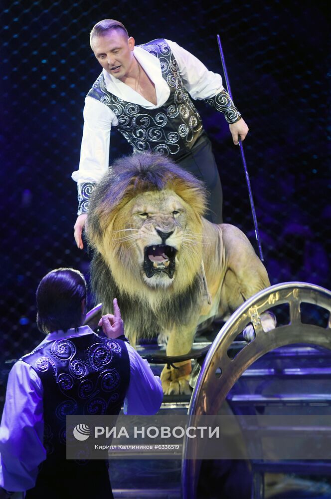 Большой московский цирк возобновляет работу