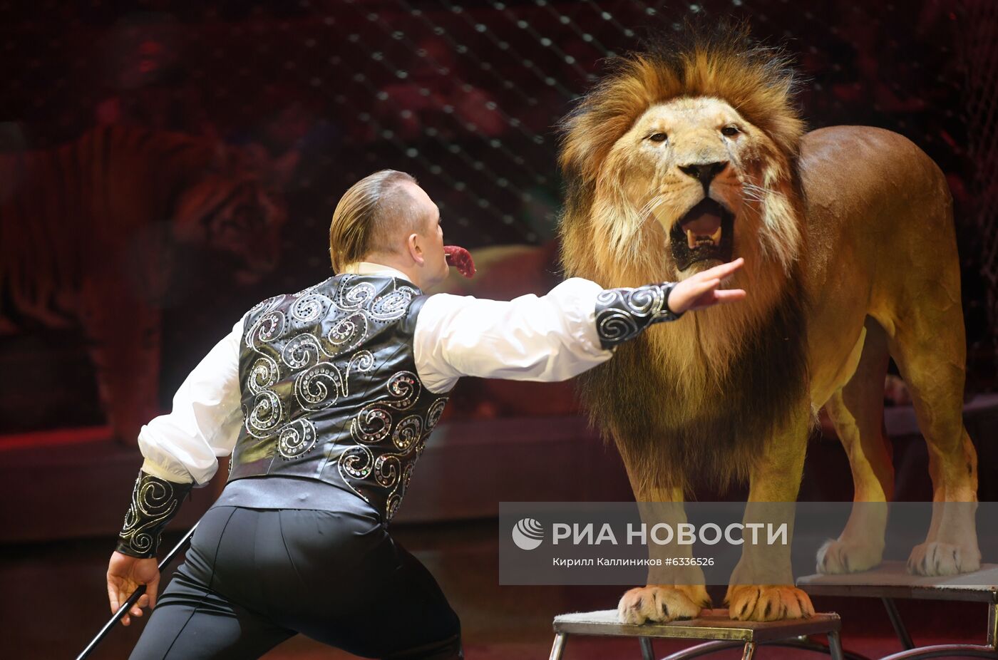 Большой московский цирк возобновляет работу