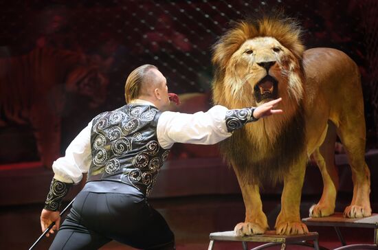 Большой московский цирк возобновляет работу