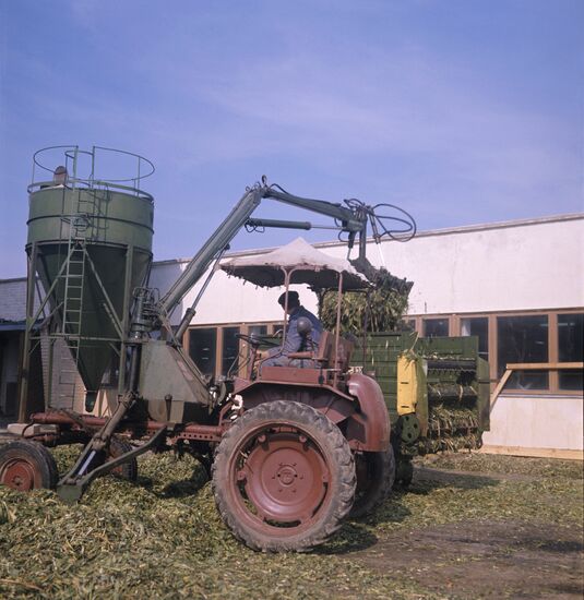 Литовский колхоз "Эришкес"