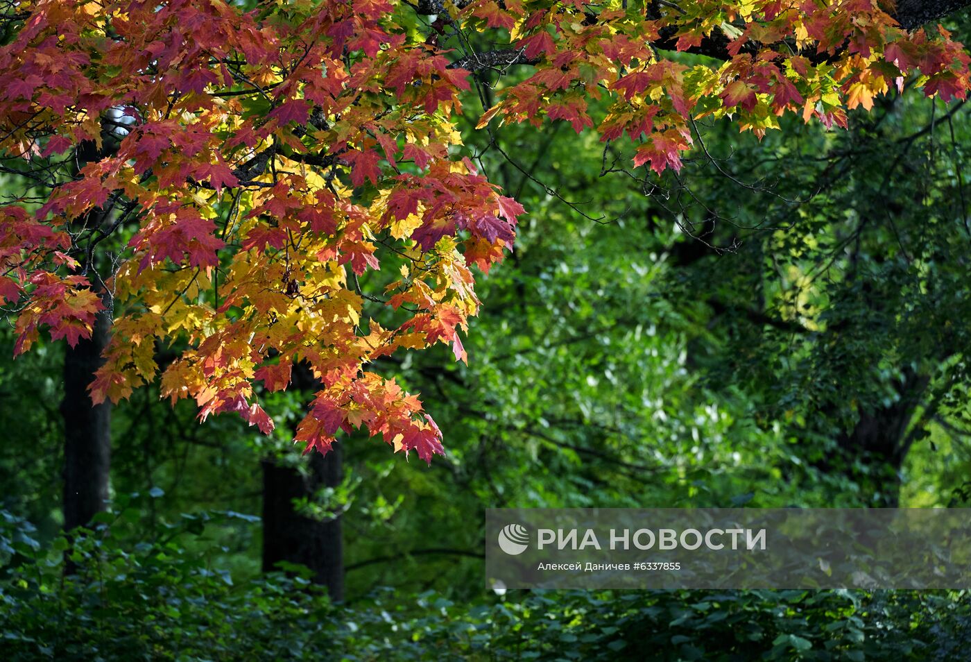 Царское село. Александровский парк