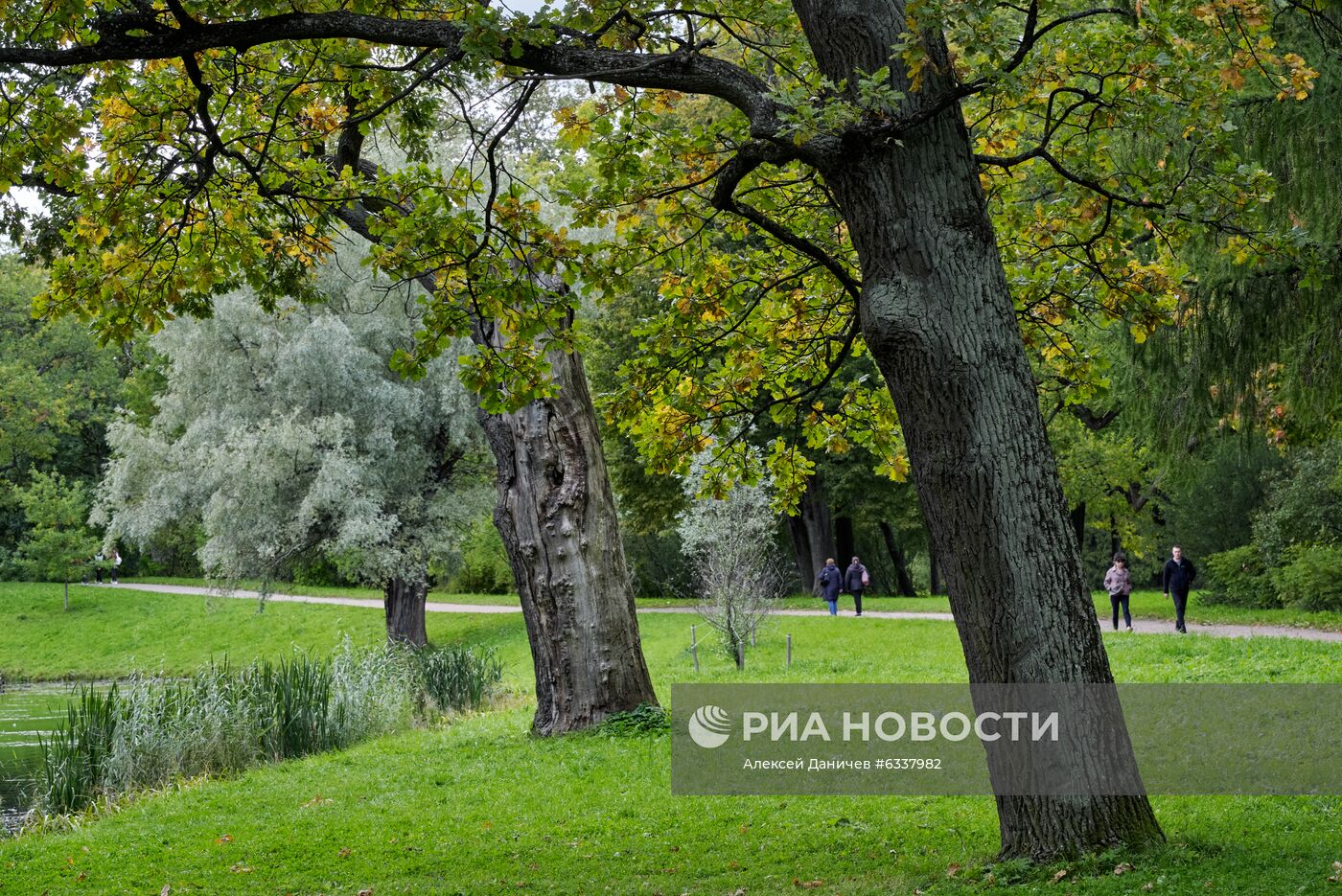 Царское село. Александровский парк