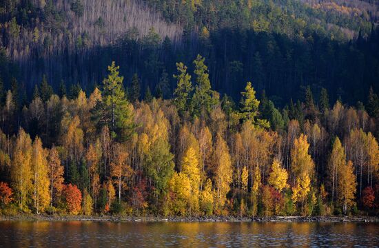 Осень в Красноярском крае