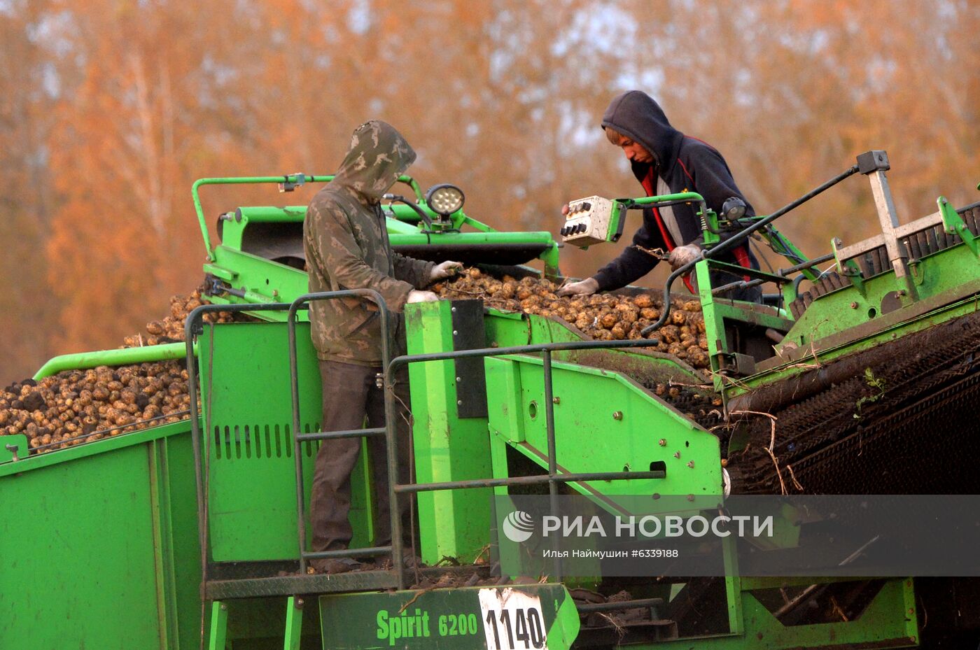 Уборка картофеля в Красноярском крае