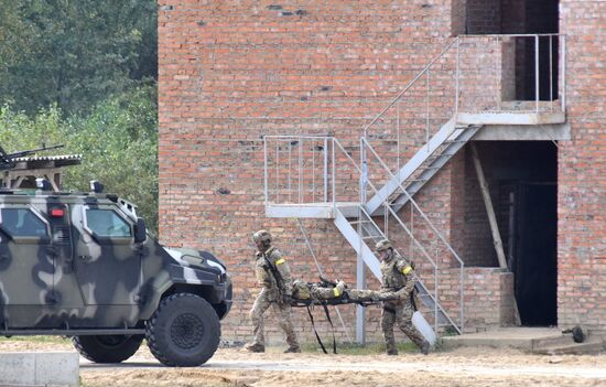 Учения Rapid Trident - 2020 на Украине