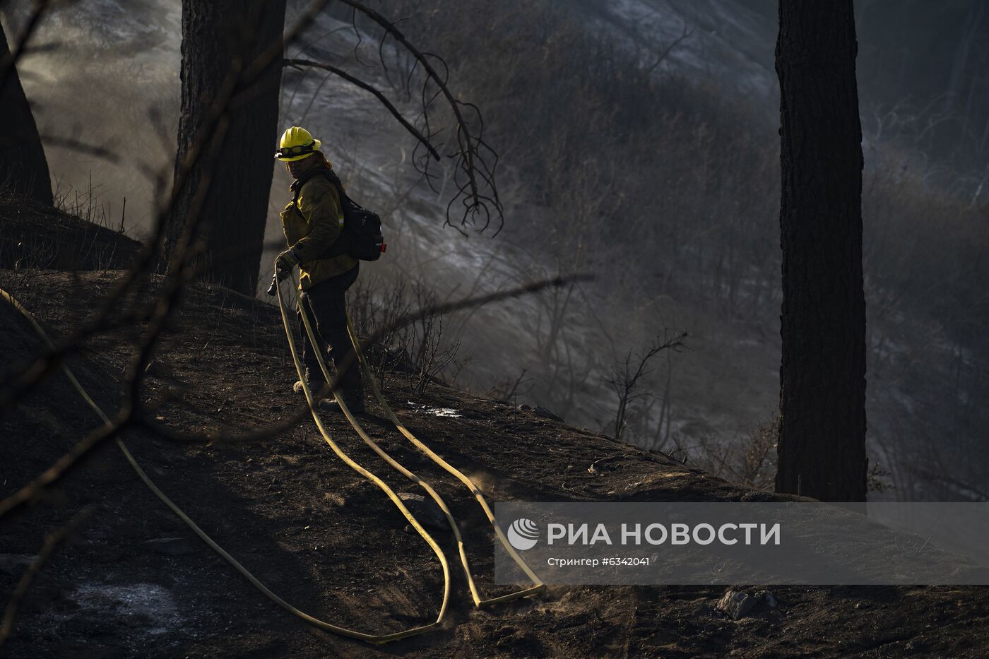 Лесные пожары в Калифорнии