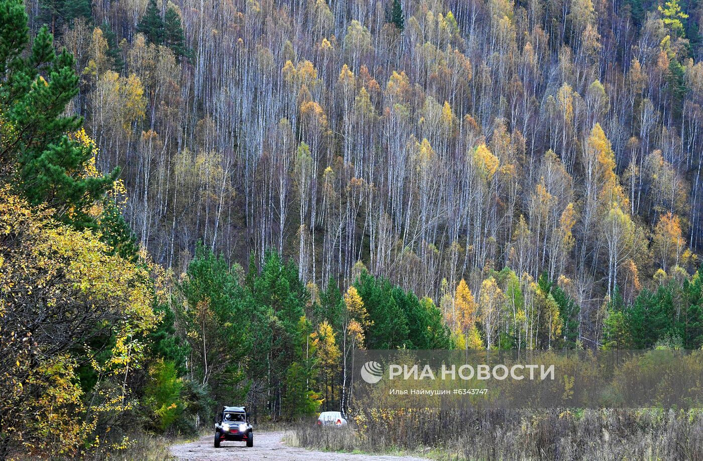 Осень в тайге под Красноярском