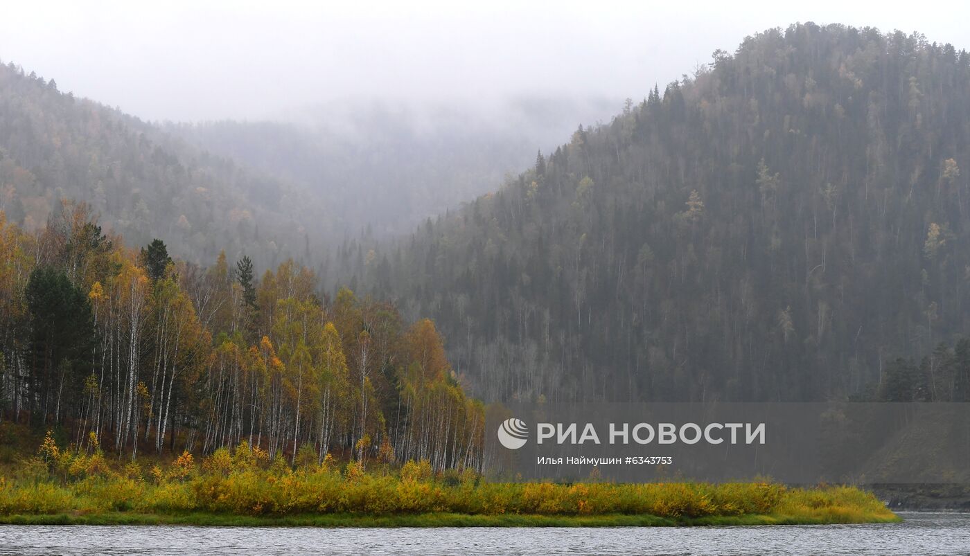 Осень в тайге под Красноярском