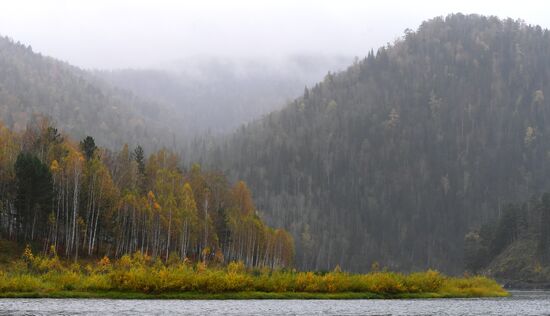 Осень в тайге под Красноярском