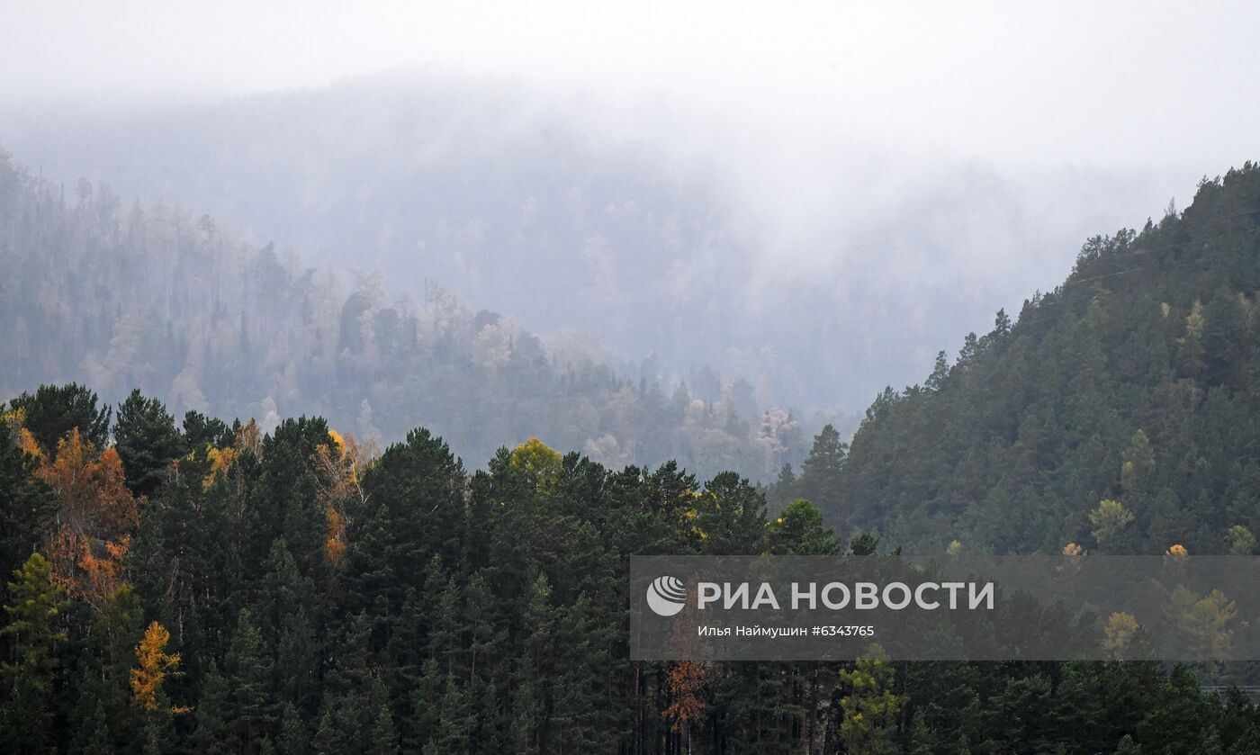 Осень в тайге под Красноярском