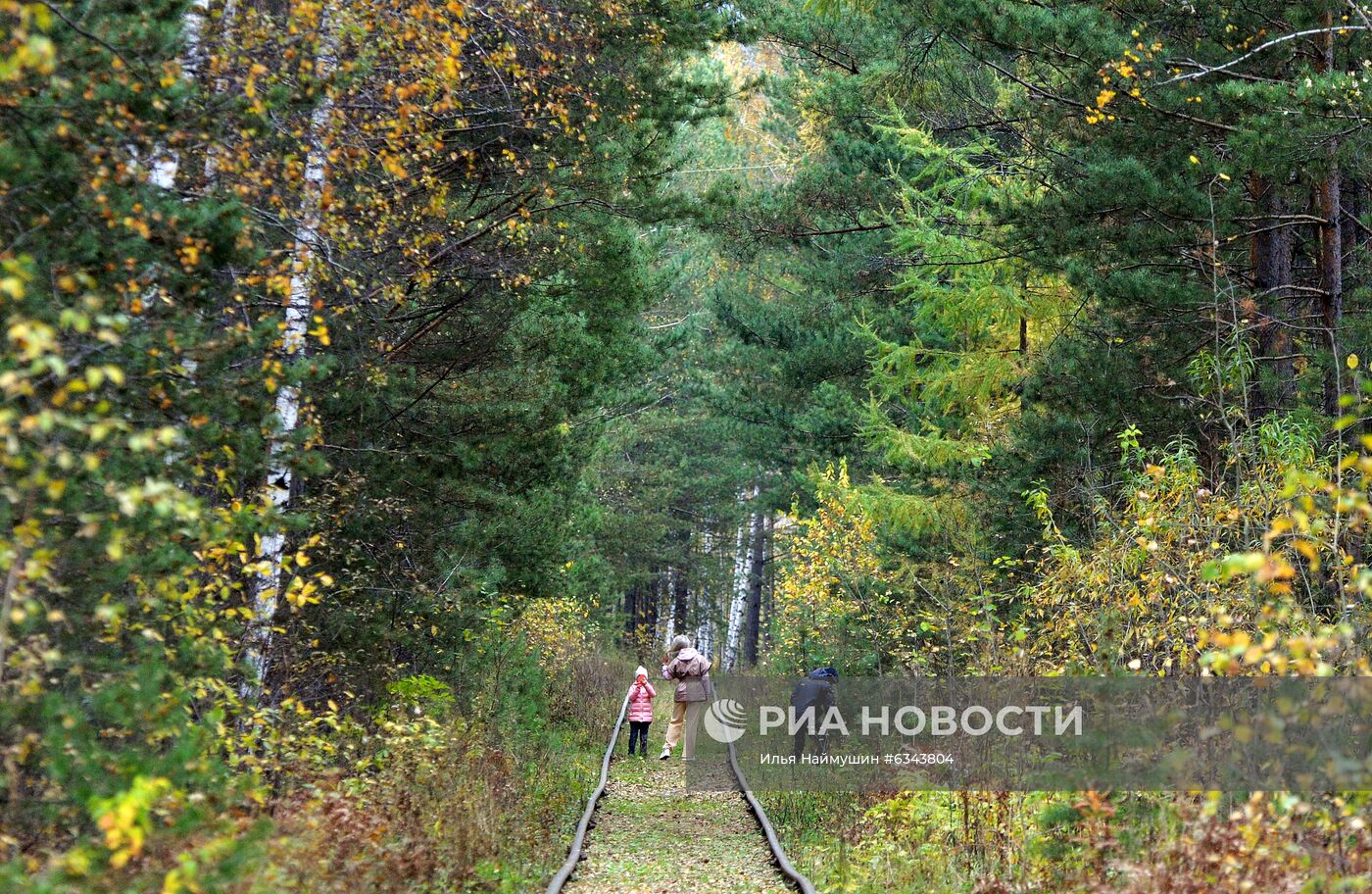 Осень в тайге под Красноярском