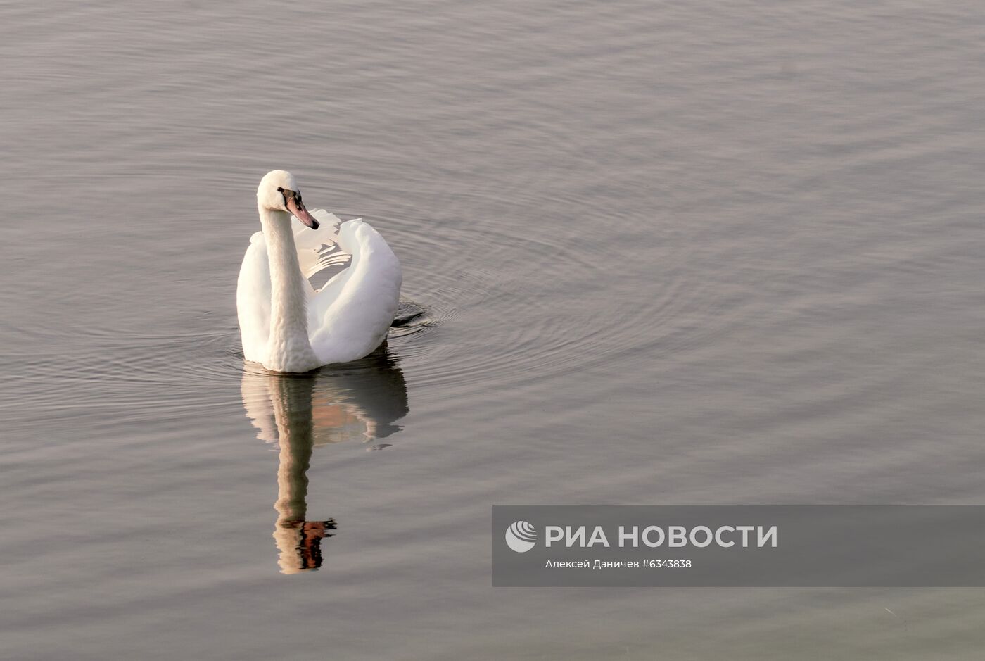 Золотая осень в Ленинградской области