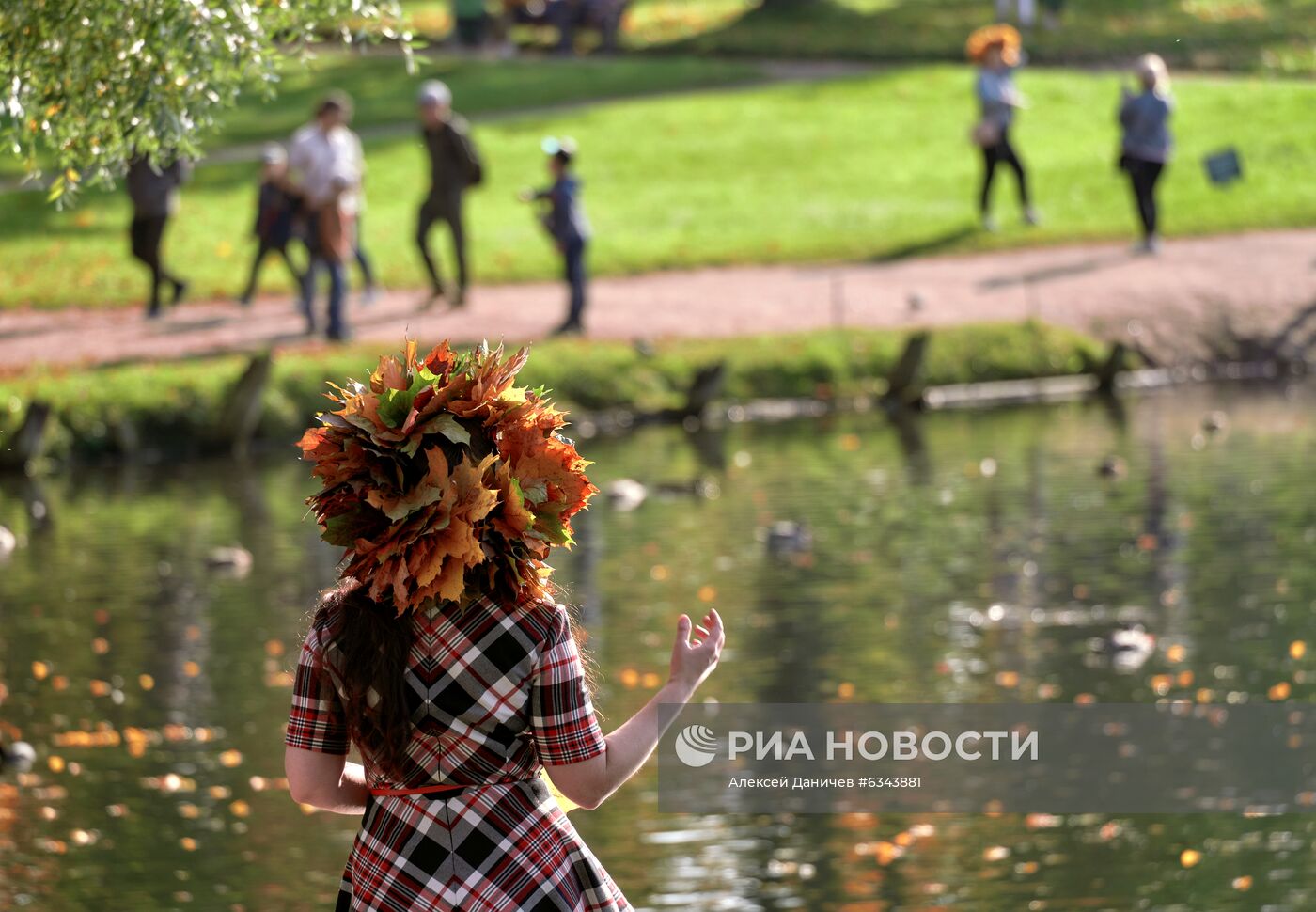 Золотая осень в Ленинградской области