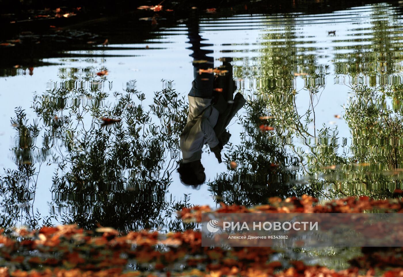 Золотая осень в Ленинградской области