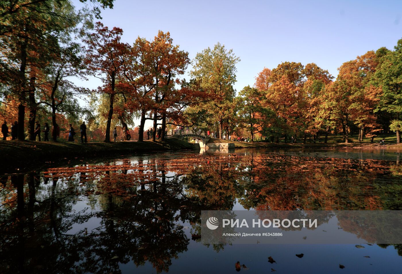 Золотая осень в Ленинградской области