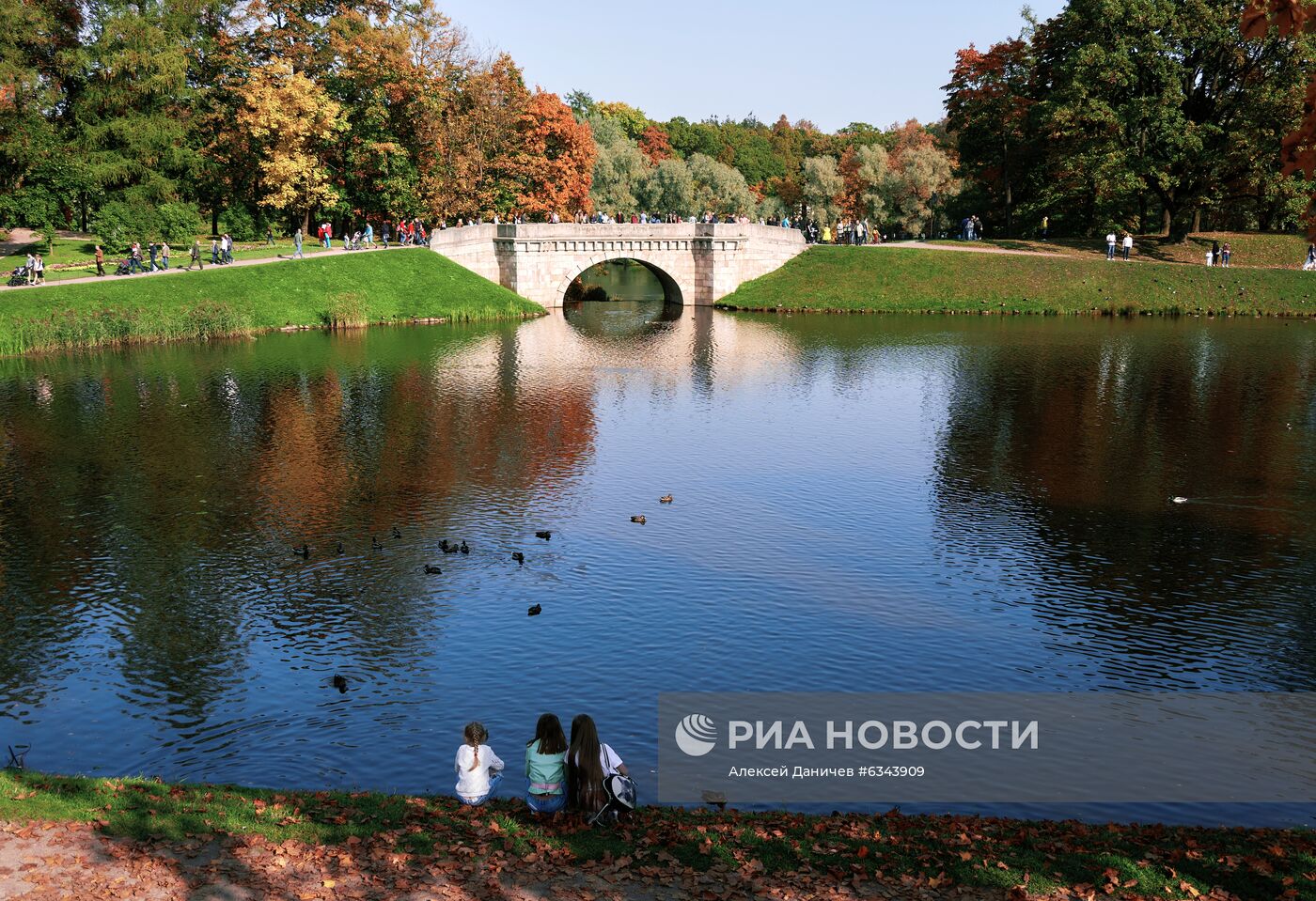 Золотая осень в Ленинградской области